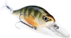 Tips – Walleye Fishing